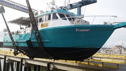 trimmer